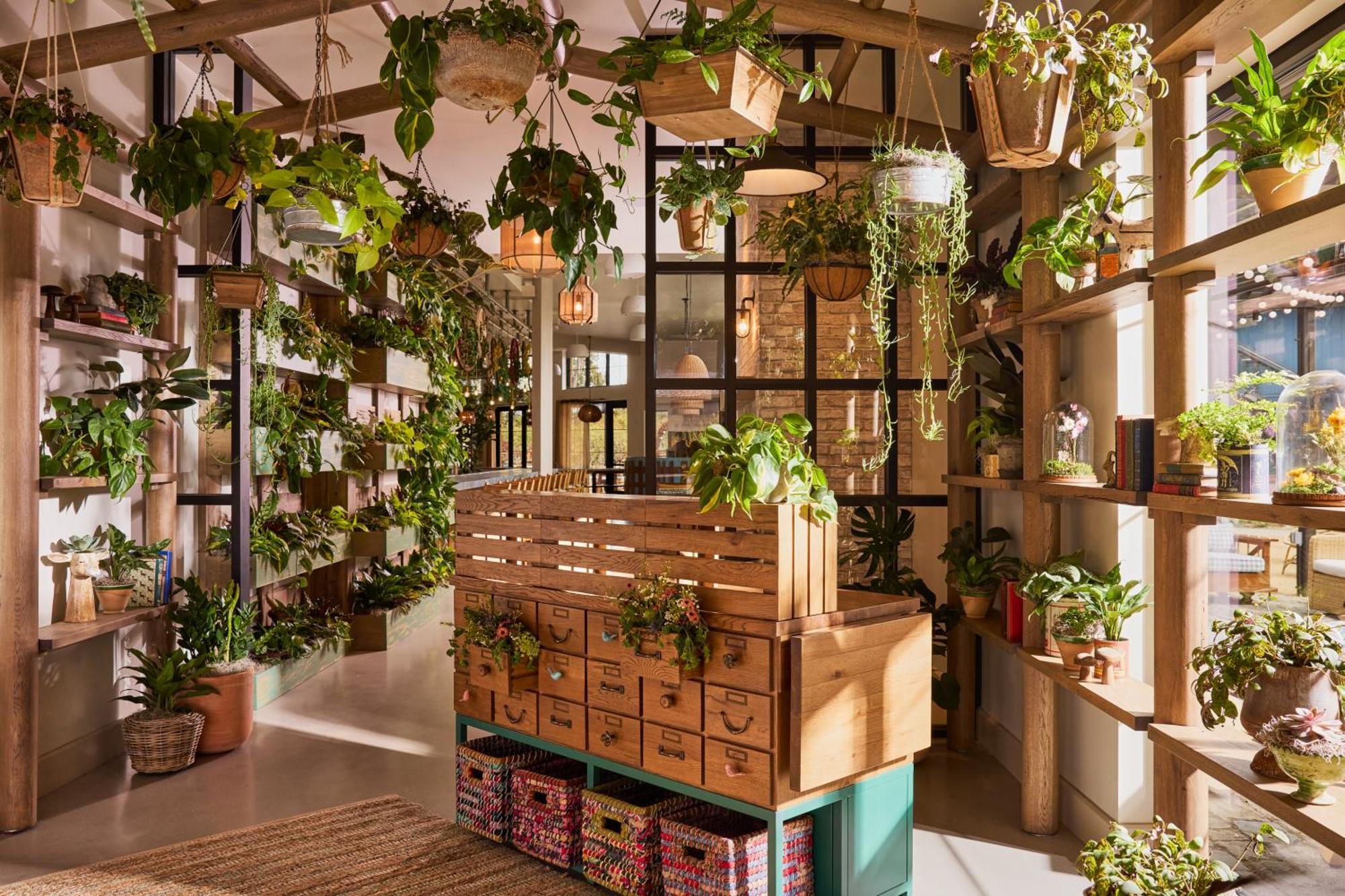 Treehouse Hotel Silicon Valley Sunnyvale Luaran gambar